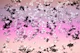 Unicorn Girls Glitter Stars 8