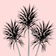 Palm Trees Cali Summer 3