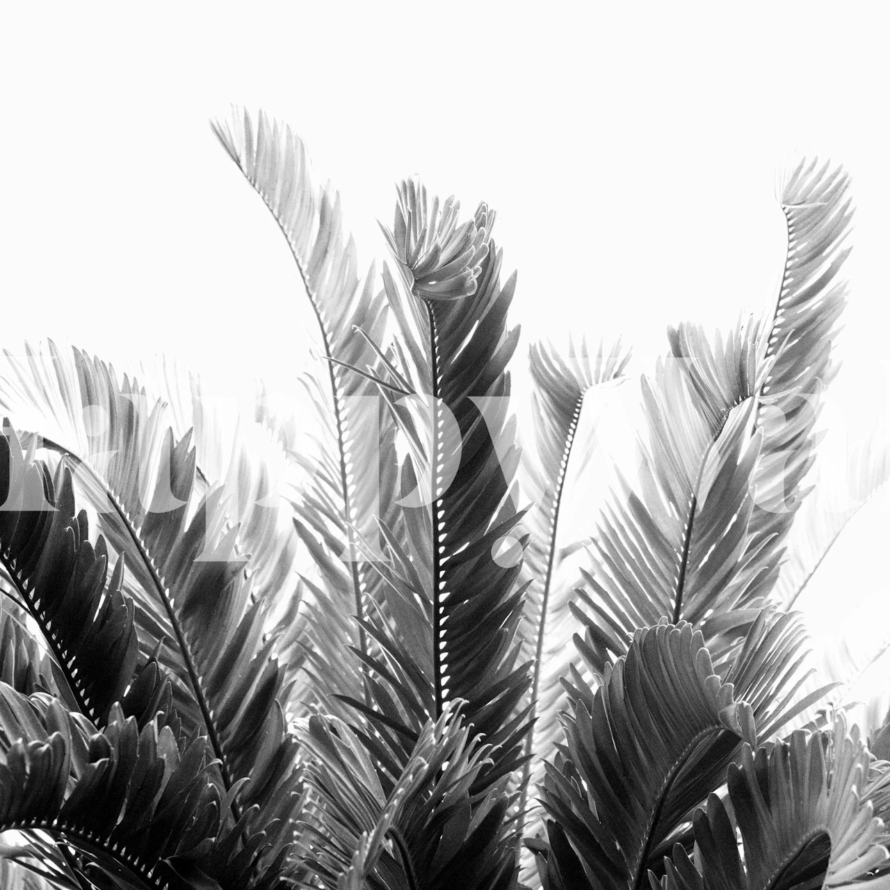 Tropical Leaves Dream 3 in een moderne kamer