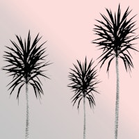 Saint Tropez Feeling 4 ταπετσαρία