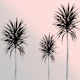 Saint Tropez Feeling 4