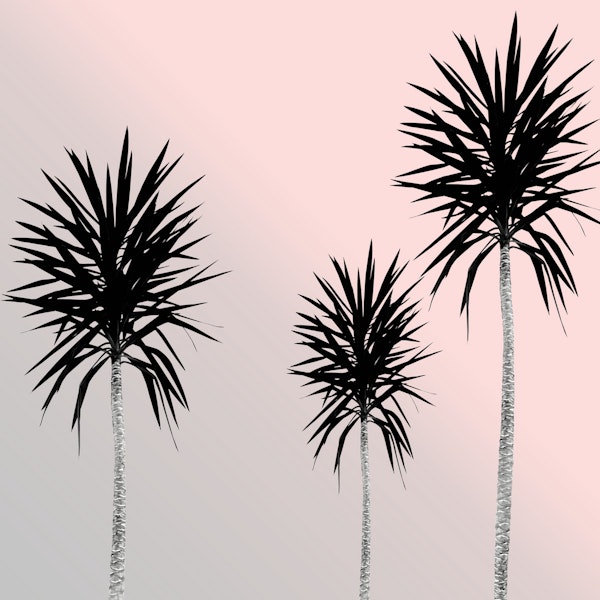 Saint Tropez Feeling 4