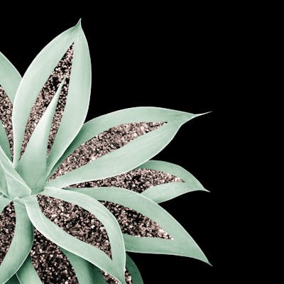 Τοιχογραφία