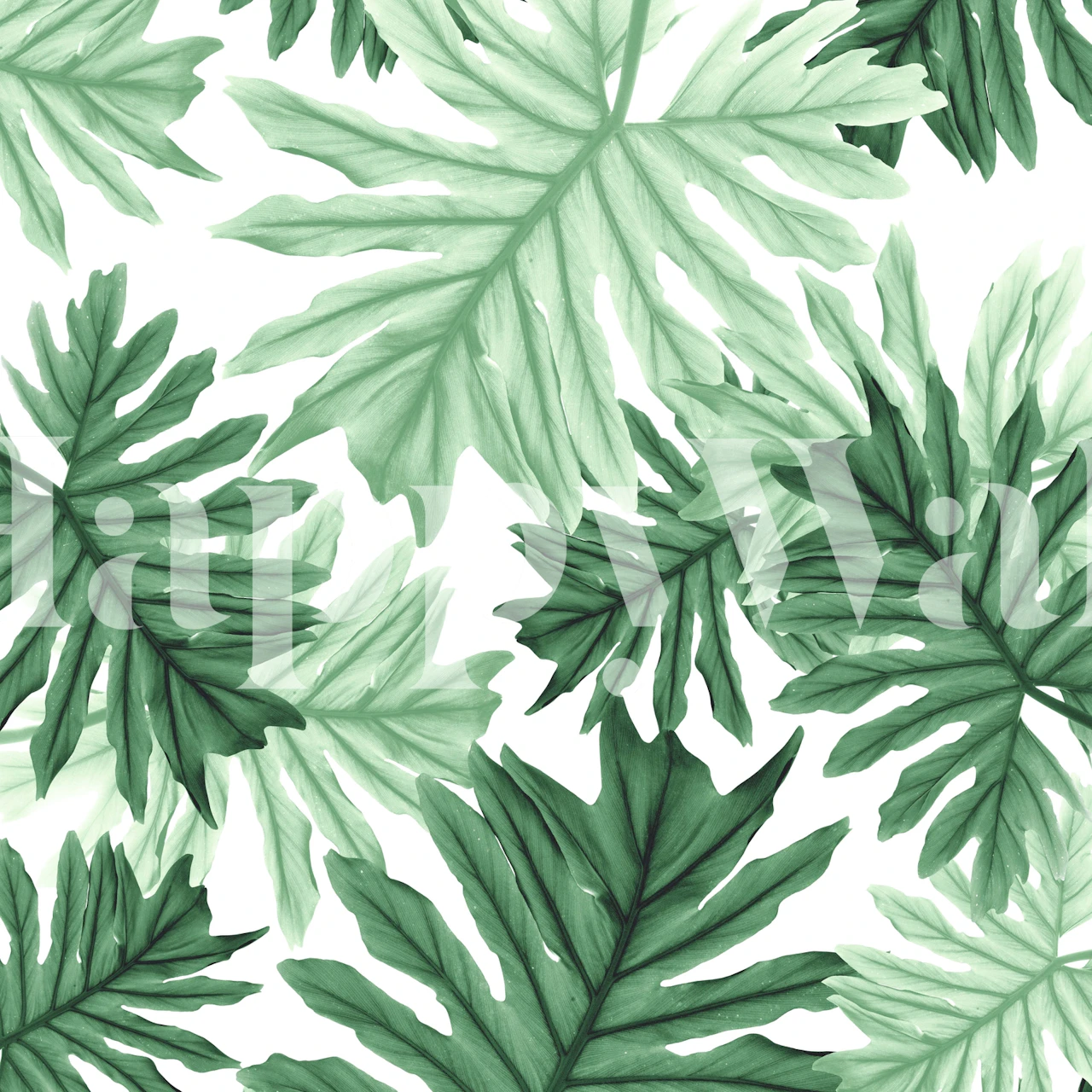 Tropical green leaf wallpaper with various large leaves