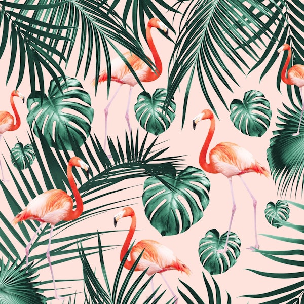 Tropical Flamingo 2