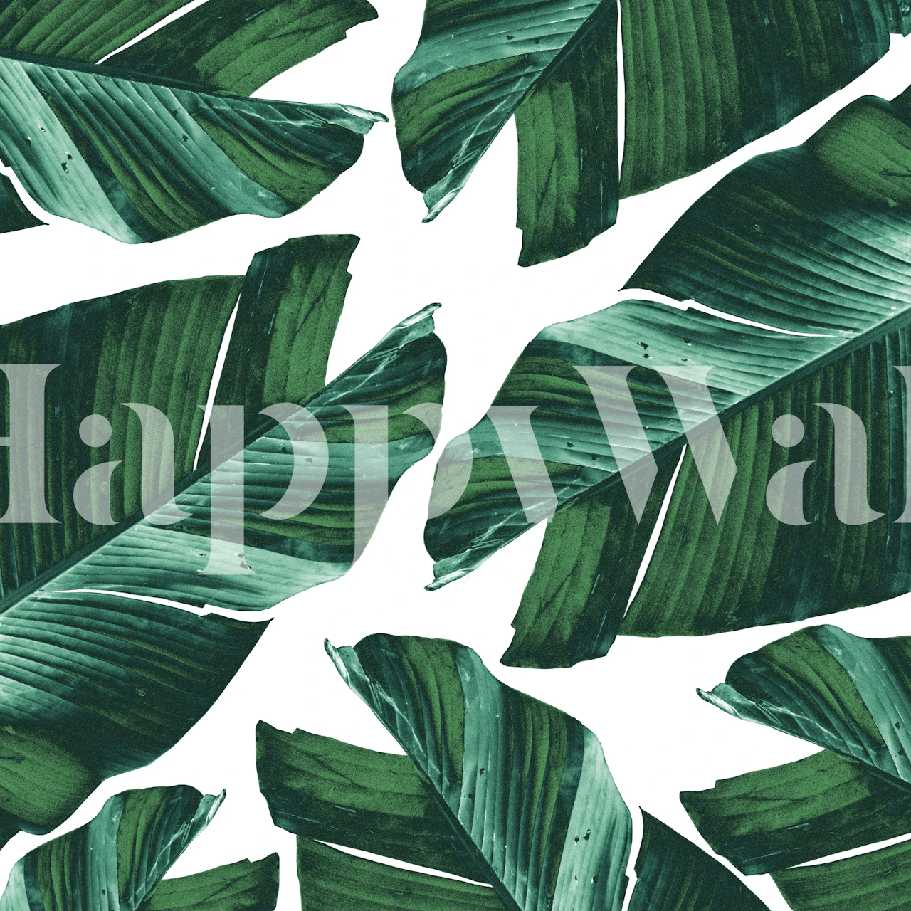 Tropical Banana Leaves Wallpaper v místnosti