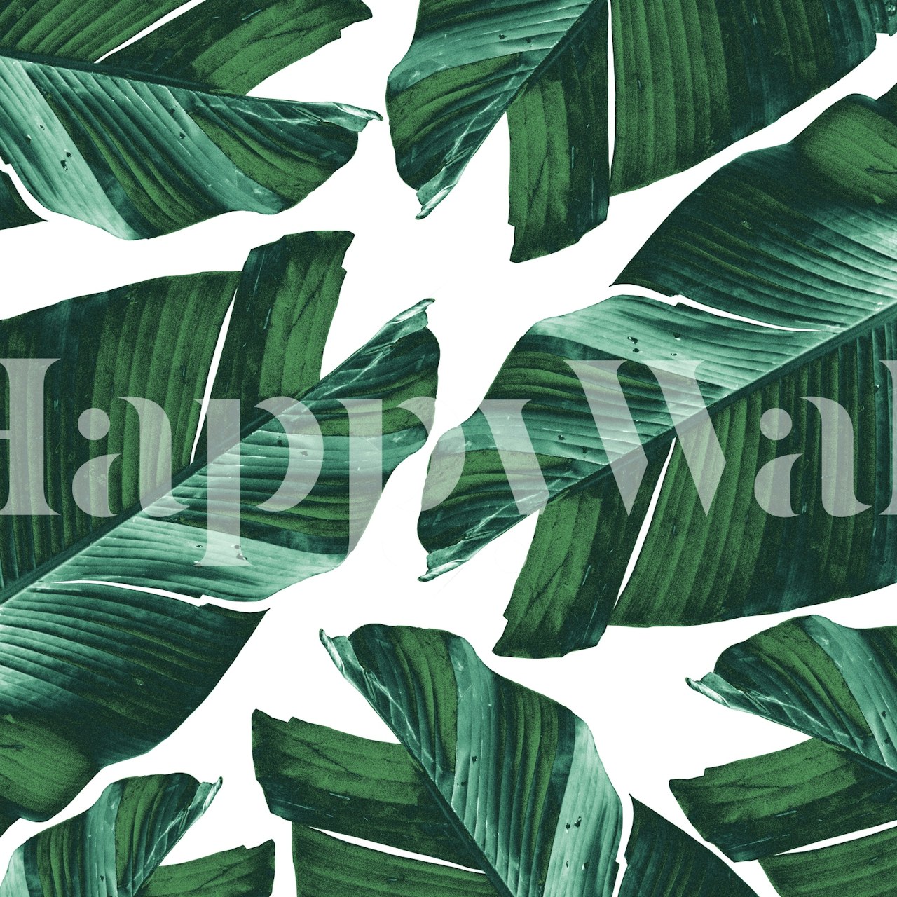 Tropical banana leaf pattern in shades of green wallpaper
