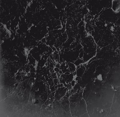 Τοιχογραφία