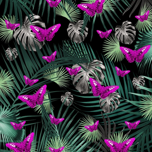 Summer Jungle Tropical Night 1