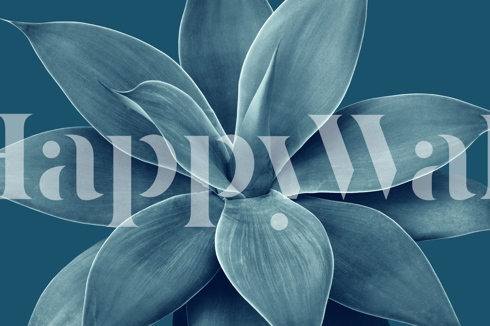 Blue Agave Romance 1 tapet i et rom