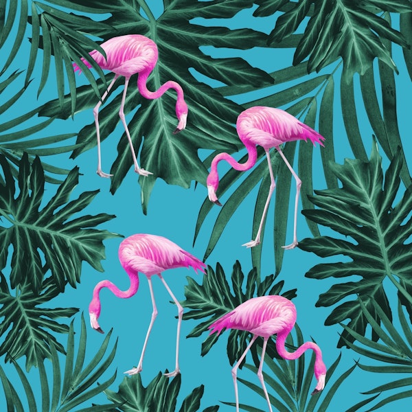 Summer Flamingo Jungle 2