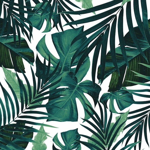 Tropical Jungle Leaves 1