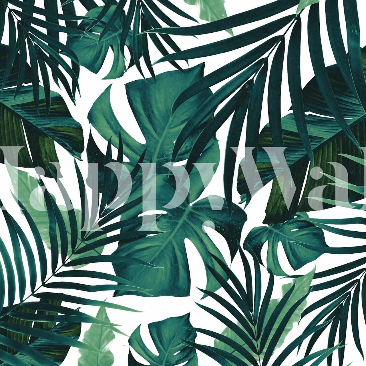 Tropical Jungle Leaves wall mural with monstera and palm designs