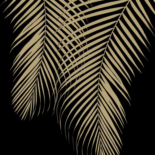 Summer Night Palm Leaves 2