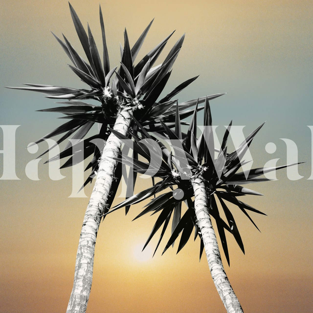 Silhueta de palmeiras contra um fotomural vinílico de parede de céu pôr do sol