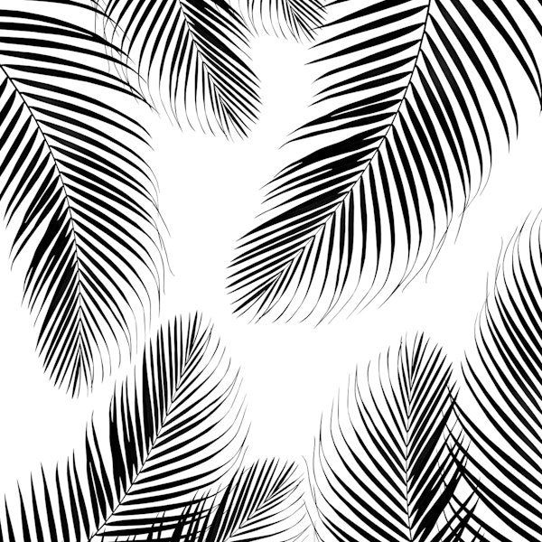 Palm Leaves Black White 2