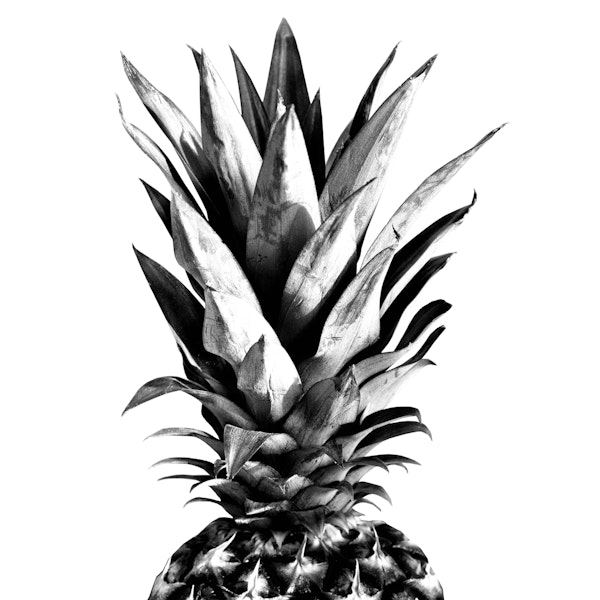 Pineapple Black White 1