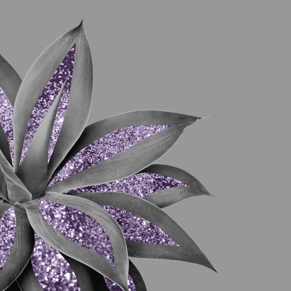 Agave Finesse Glitter Glam 4