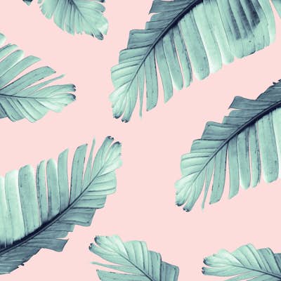 Τοιχογραφία