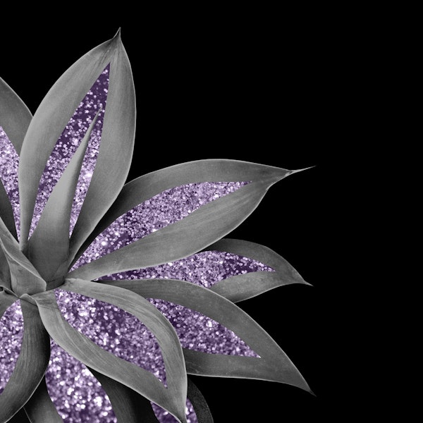 Agave Finesse Glitter Glam 3