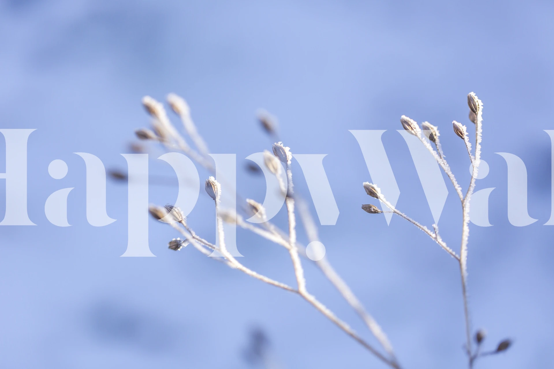 Frosty Plants tapeta w pokoju