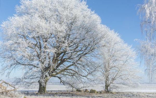 Winter Idyll In Germany