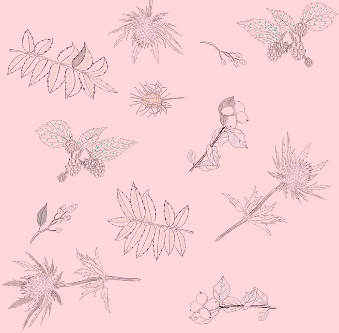 Pink Botanical Floral Wallpaper