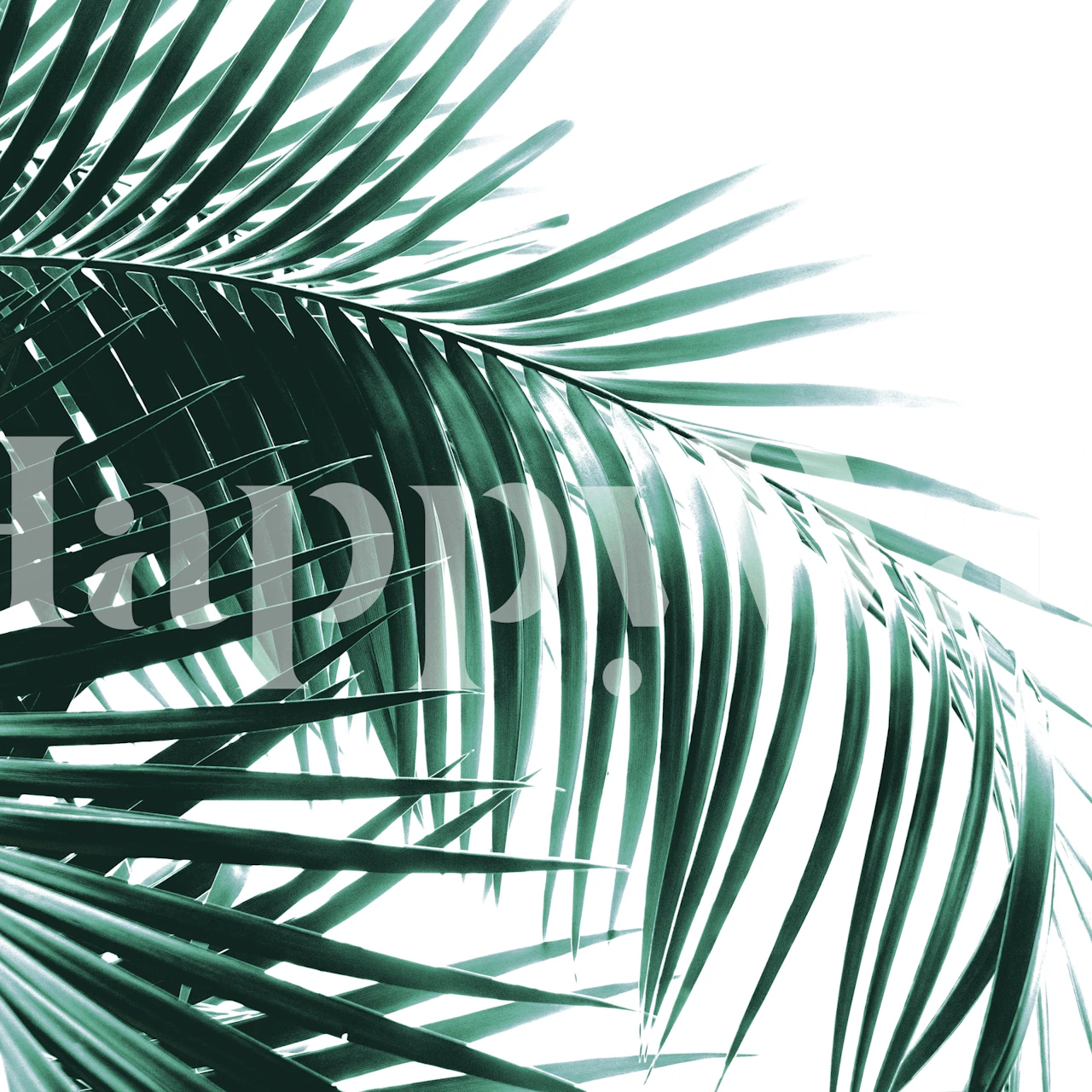Green palm leaves wall mural for tropical decor