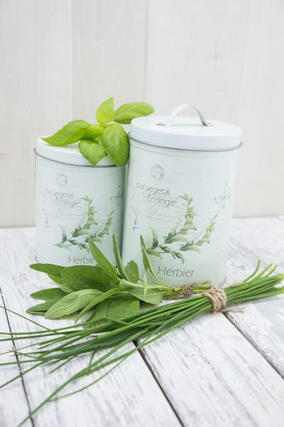 Τοιχογραφία