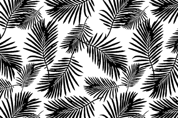 Palm Leaves Black And White