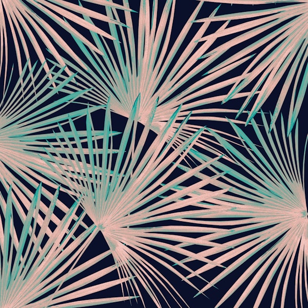 Tropical Fan Palm Leaves 5