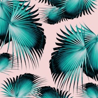 Fan Palm Leaves Paradise 4 wallpaper