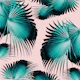 Fan Palm Leaves Paradise 4
