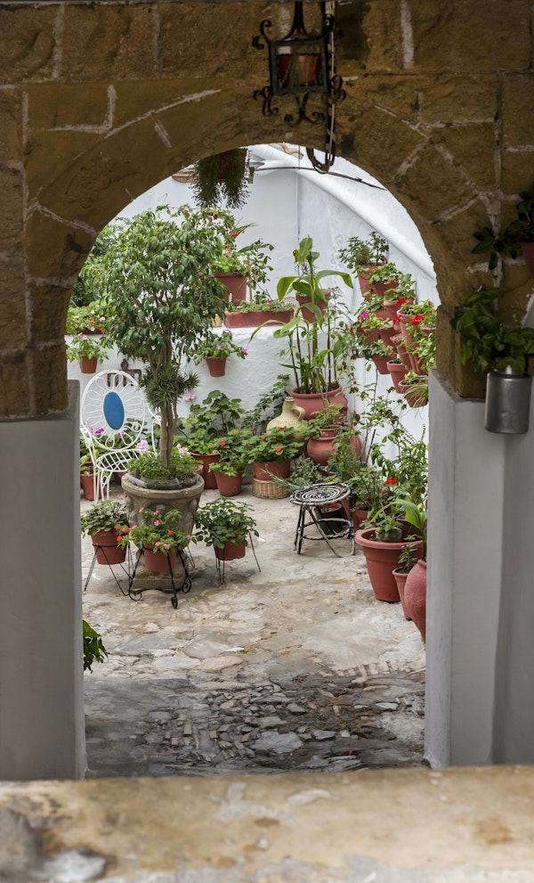 Andalusia Spanish Patio
