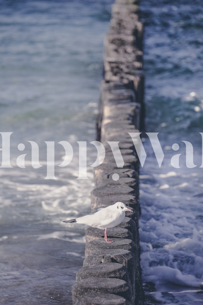 Seabird Relax tapet i et rumindretning