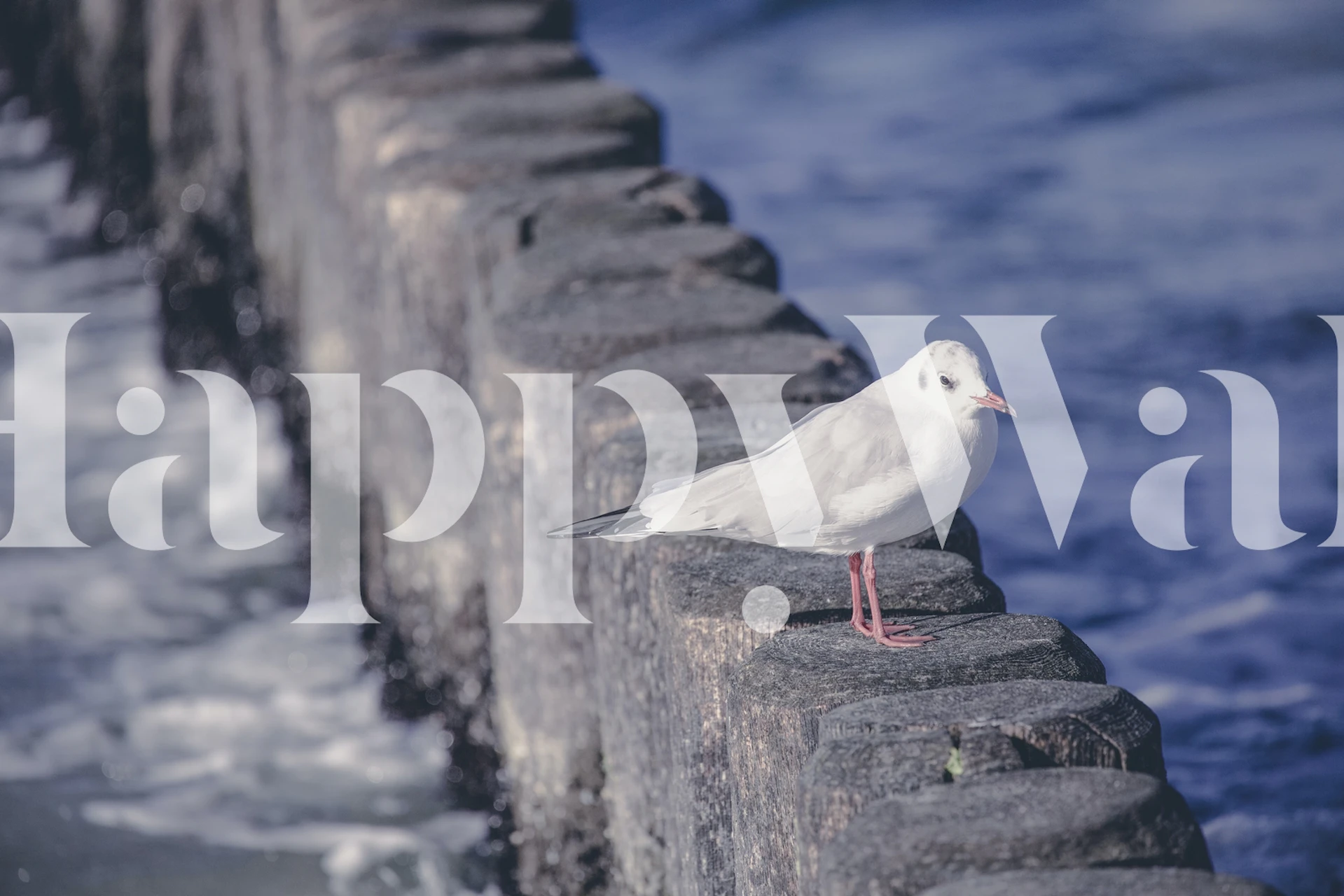 White seagull on black stone pier next to ocean waves wallpaper
