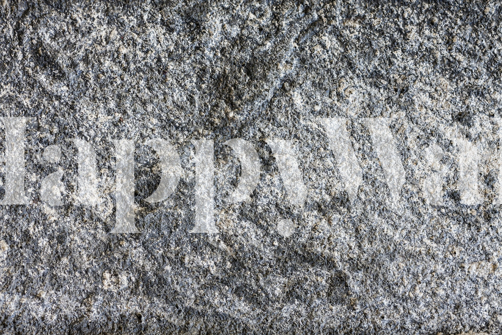 Papier peint mural à texture de roche granitique avec des motifs gris et blancs détaillés