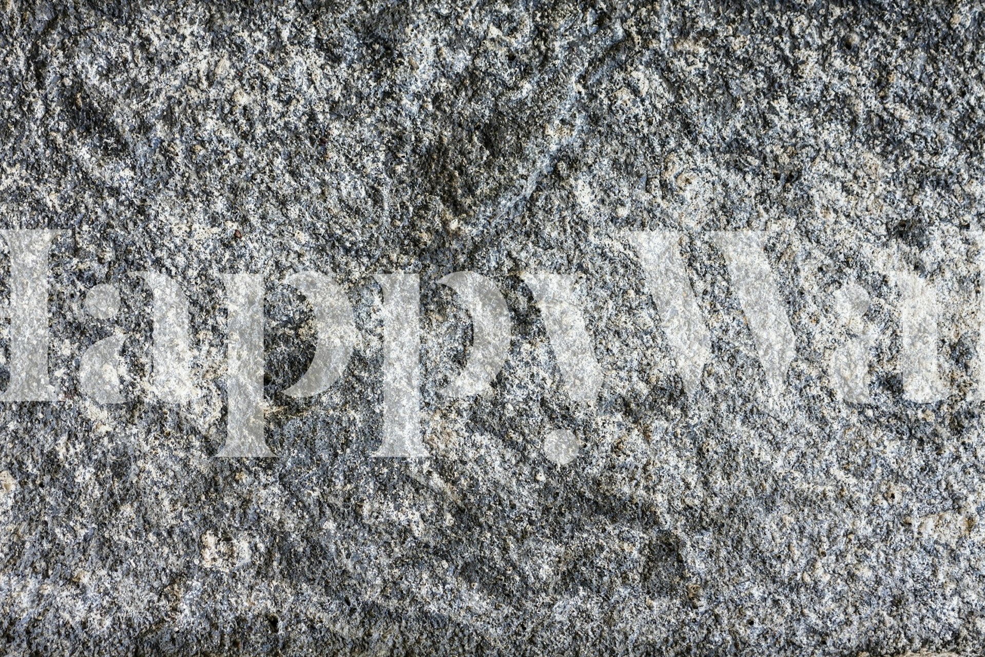 Fotomural con textura de roca de granito y motivos detallados en gris y blanco
