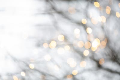 Τοιχογραφία