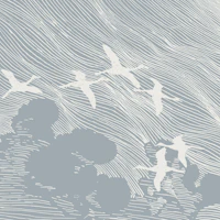 50s Japan Crane Birds wallpaper