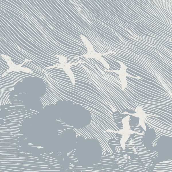 50s Japan Crane Birds