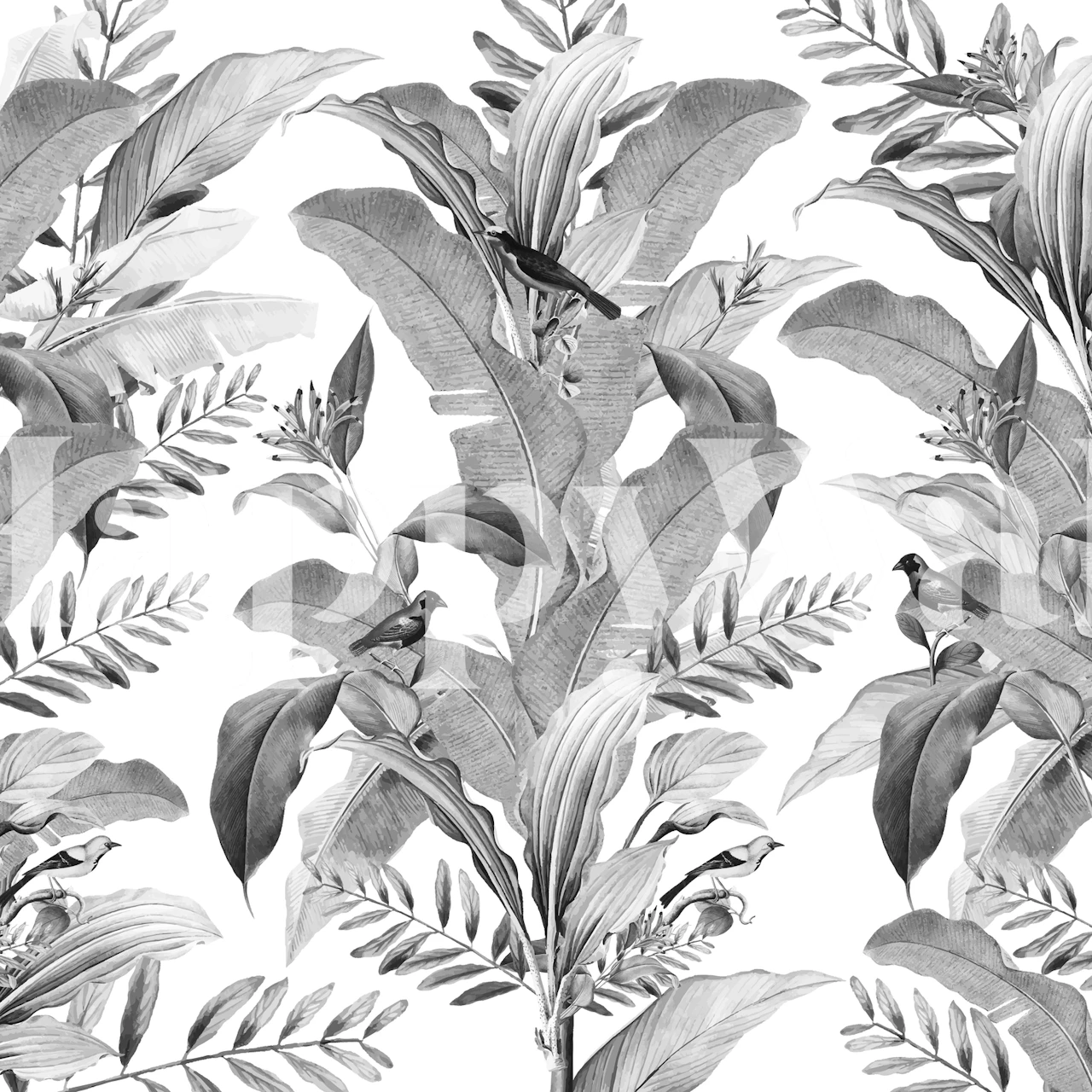 Monochrome leaf and bird wall mural