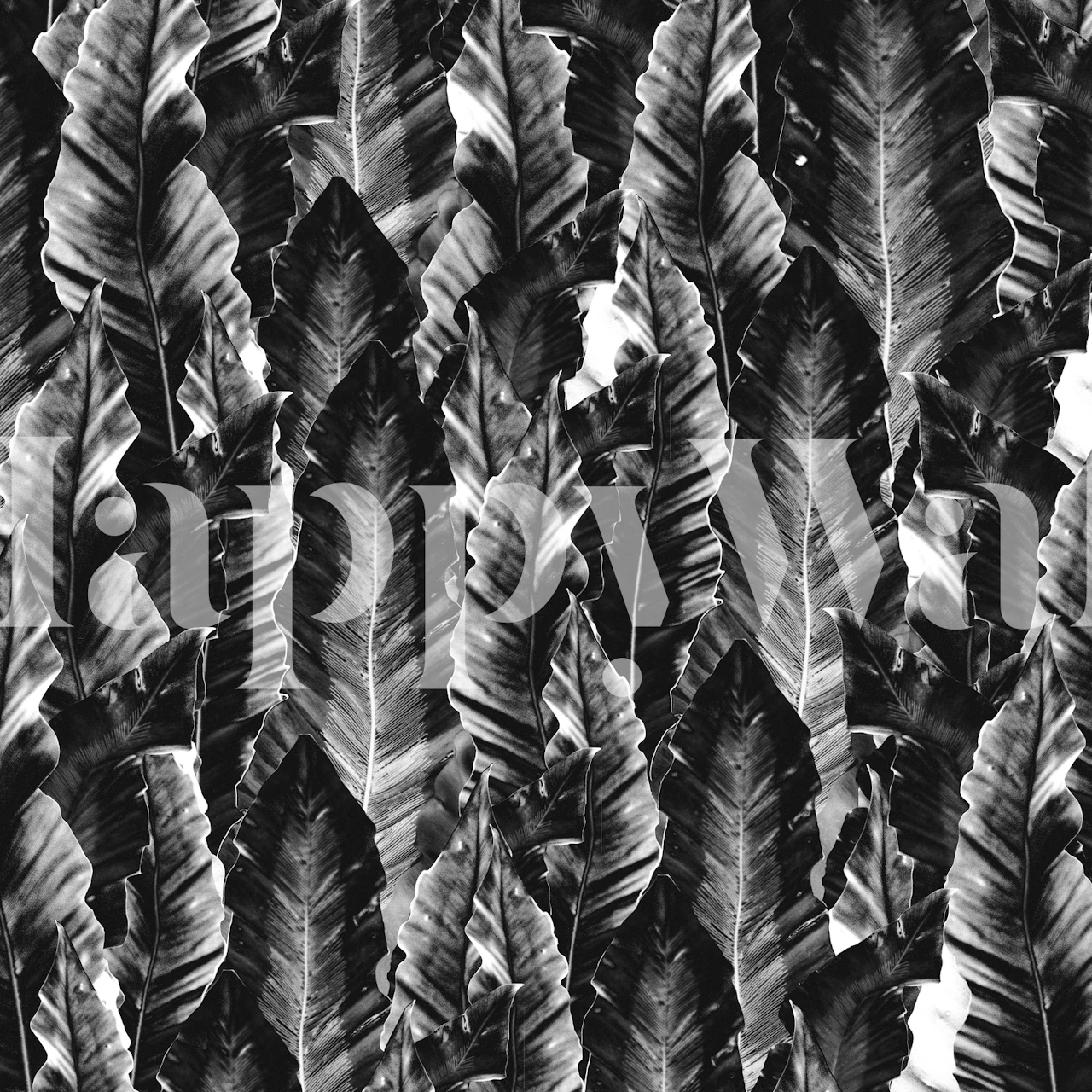 Black tropical leaf pattern wallpaper featuring realistic leaf textures