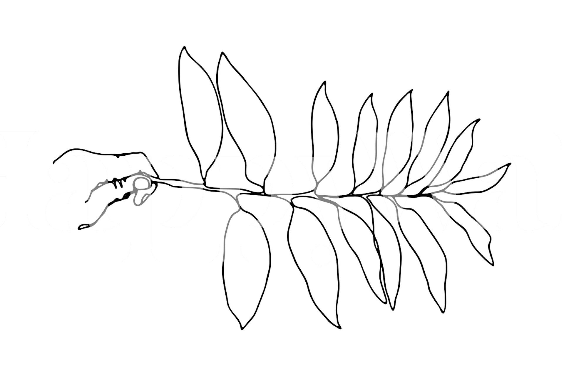 Mural de parede de arte minimalista com uma mão segurando uma folha