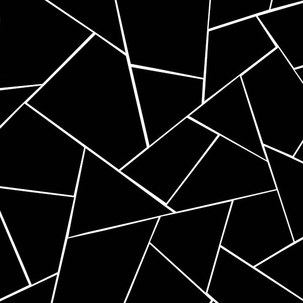 Black White Geometric Glam 2