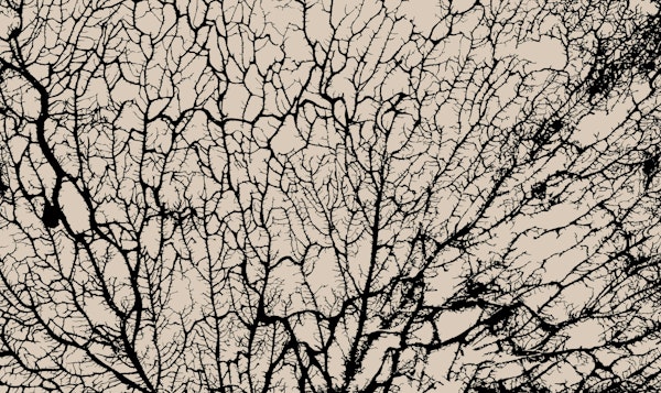 Tree Branch Beige Cream Black