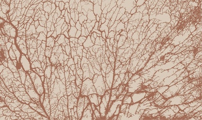 Mural