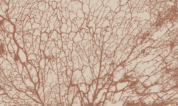 Tree Branch Beige Cream Brown