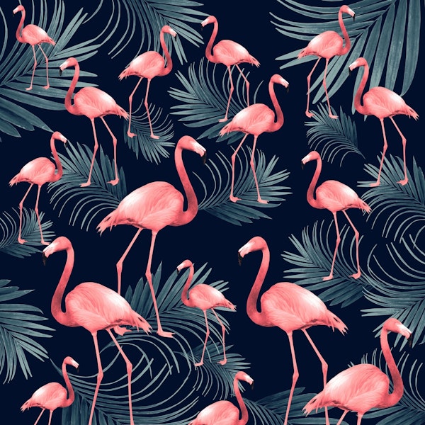 Summer Flamingo Palm Night 1