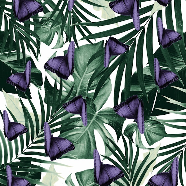 Tropical Butterfly Jungle 4